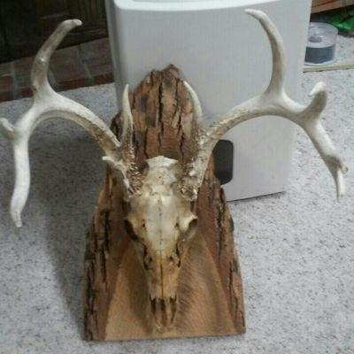 FandersGary's profile picture. 