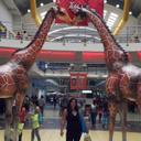 Yubisay Mujica (@5890c4ddfa81463) Twitter