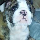 Vicki Rule - @VickiRule9 - Twitter