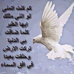 azd_fg's profile picture. 