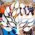 Ramah Israel (@israelramah) Twitter profile photo
