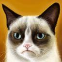 Franz Müller - @franz_muller15 - Twitter