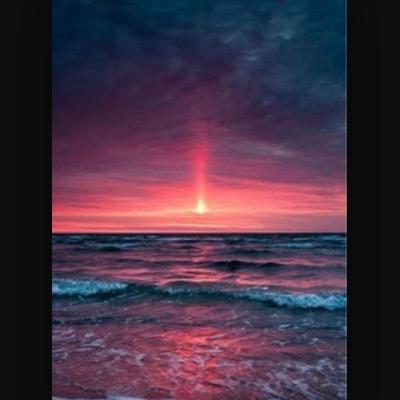 stopdreamingg's profile picture. 