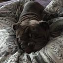 Stacey Bitner - @yuvzulonveyouy - Twitter