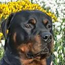 Gunnar Berg - @bdc90c8c490b46e - Twitter