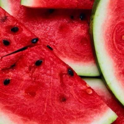 31Shkh's profile picture. 