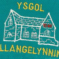Ysgol Llangelynnin (@ysgllangelynnin) 's Twitter Profile Photo