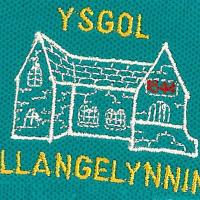 Ysgol Llangelynnin(@YsgLlangelynnin) 's Twitter Profile Photo