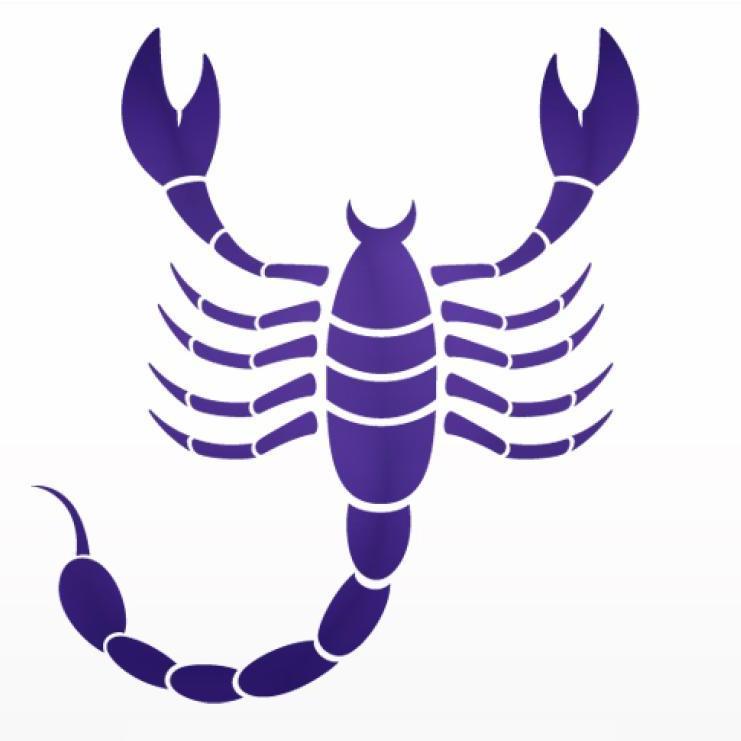 A scorpio understands there is no point in rushing to the finish line. Success will come in due time.