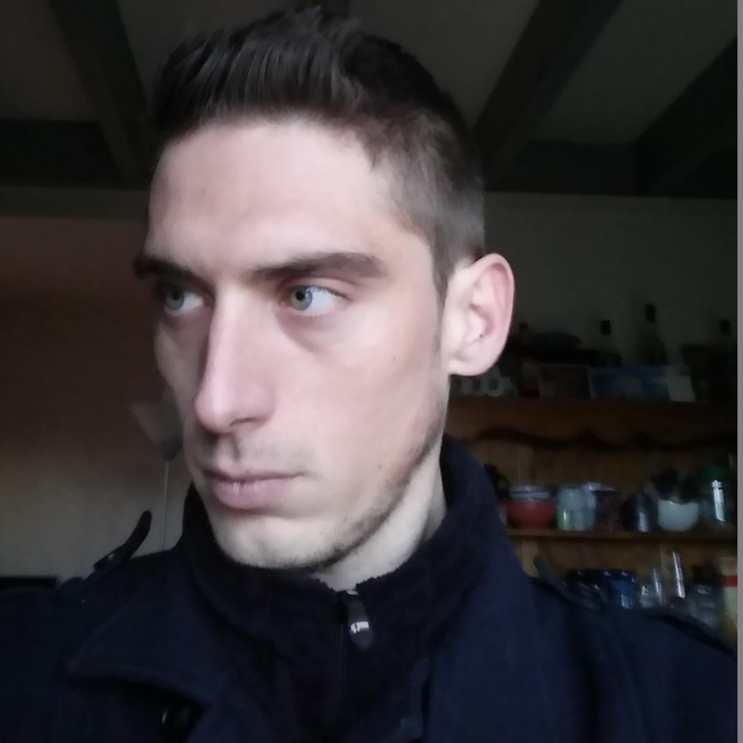UE4/5 Developer, Blender Artist and 
technological addict.
Web Developer:
Front :  React, Angular
Back : NodeJs, Spring