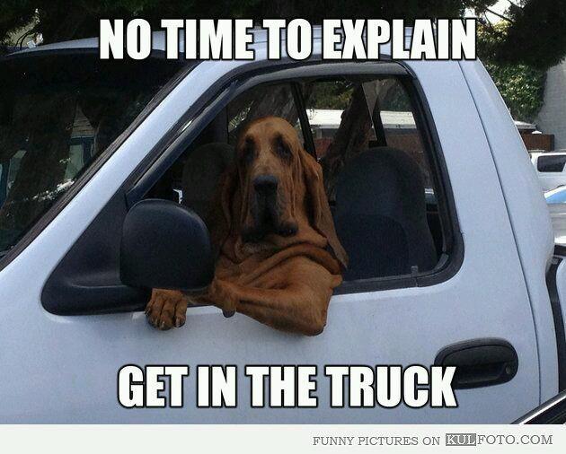 wilbudgarcia's profile picture. 