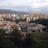ccbosque1's profile image