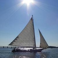 Calvert Beacon (@calvertbeacon) 's Twitter Profile