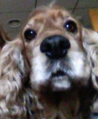 karmengf67's profile picture. 