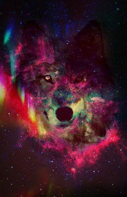 LazeBlite's profile picture. All the same shiz