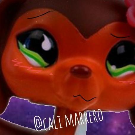 my nickname cali! 13 an artist, reader,roleplayer, flimer 
my youtube is cali marrero