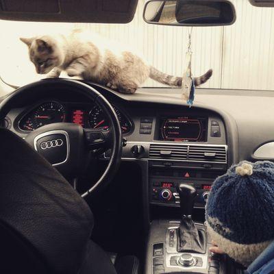 ybivaet's profile picture. 