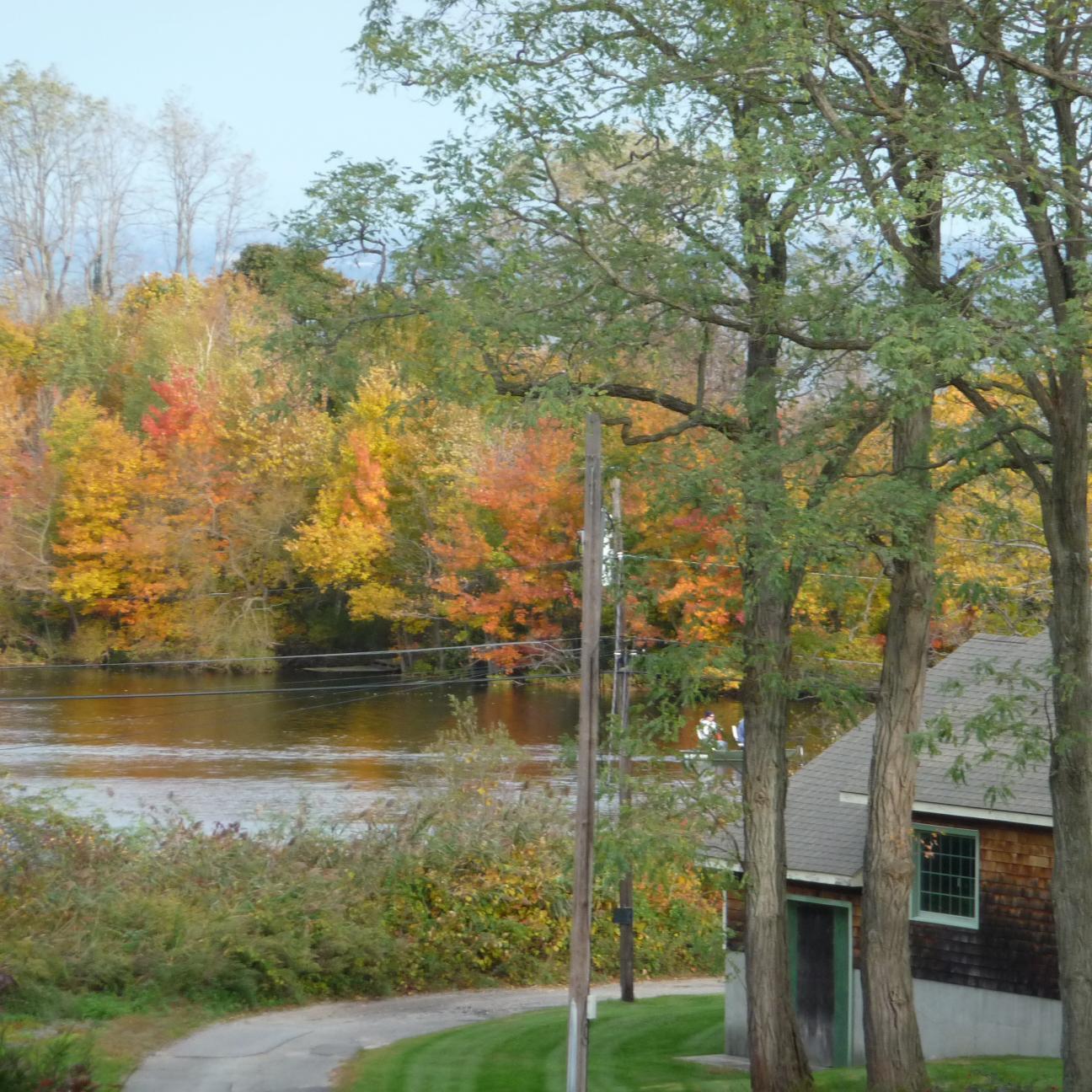 We are dedicated to preserving our community including the wetlands of Fresh Pond