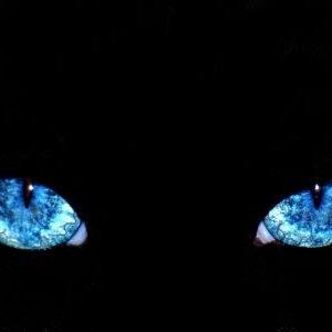 どーも初めまして!
音楽と面白い事が大好きな20代。
アニメやゲームは人並みぐらいですかね?
水樹奈々さん応援してます^^
らっすんごれらい!
