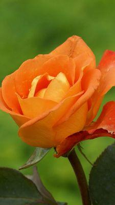 MikeEmanchmooro's profile picture. 