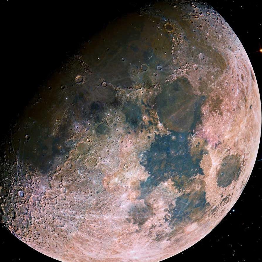 trixiebrickdipp's profile picture. 