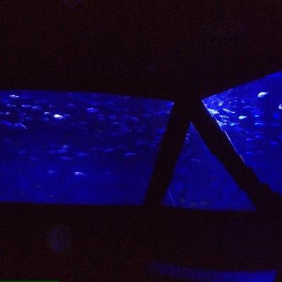 rubensofiagabi's profile picture. 