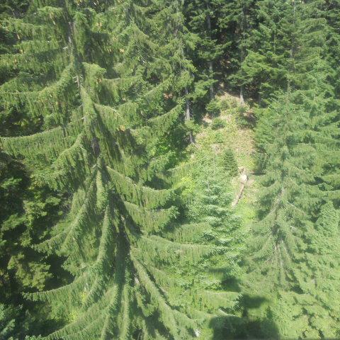 UNGANDR's profile picture. 