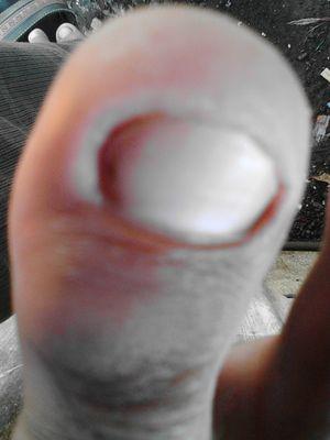 BahiyahKhoridb's profile picture. 