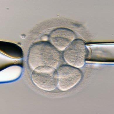 Shinya_Yamanaka's profile picture. 