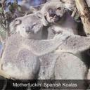 Bain Martin - @bain_martin99 - Twitter