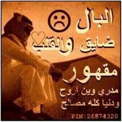 ae5cb074d5c1454's profile picture. 