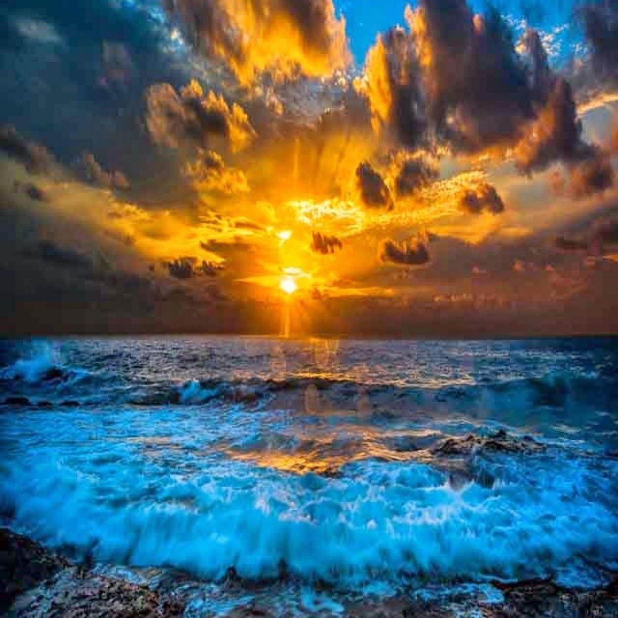 CookieKrista's profile picture. 