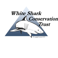 Bruce Goorney (@whitesharknz) 's Twitter Profile Photo