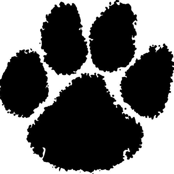 Official twitter for the student council at Biddeford High School