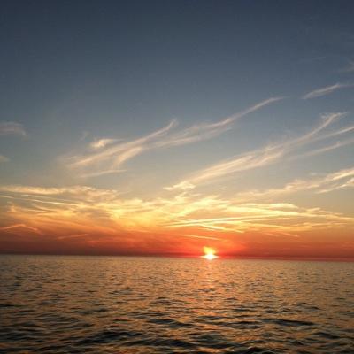 roscowitz's profile picture. Go nature.  go green.