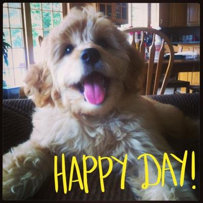 DWitschen's profile picture. 