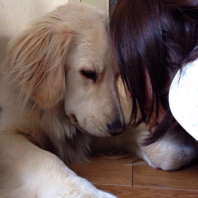 yuzu5296oto's profile picture. 京都.ゆずだいすき(◍′◡‵◍)