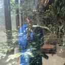 Nicole Bentz - @nicole_bentz - Twitter