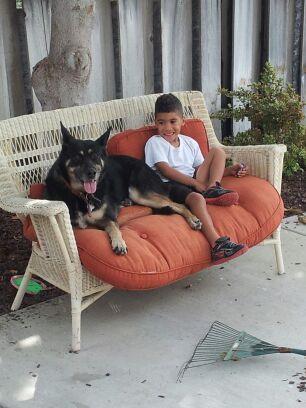 cppmagnum45's profile picture. Hello my name is Charles my dog has been lost since February 1st 2015 there is a reward for her safe retrieval my dog's name is Xena