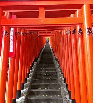 aoiro1616's profile picture. もふもふもふもふもふもふ。