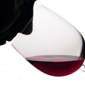 SB_Wino Profile Picture