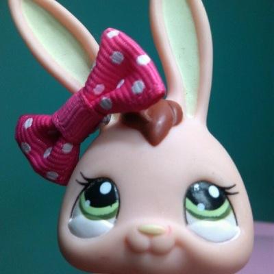 Hey! i love littlest pet shop. follow me on insta @ lps_._lover_._1104
