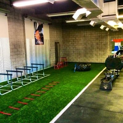 TAP INTO YOUR POTENTIAL Call NOW for your FREE SESSION 480.940.1124 Email us at: train@proedgetrain.com