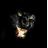 Townzy22's profile image