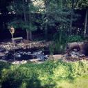 Diane Gore - @dianegore3 - Twitter