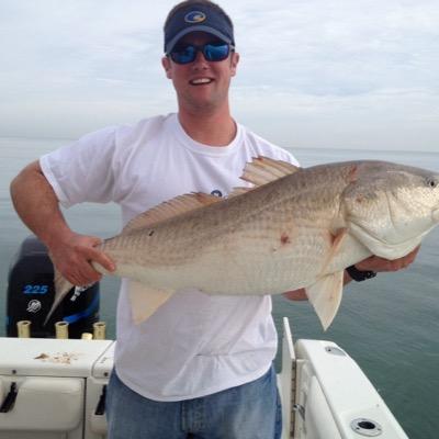 RCEasterby's profile picture. 