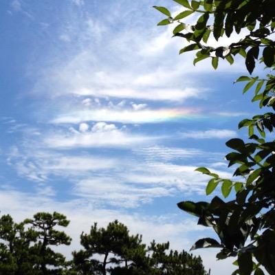 北欧 🌲 📚 🎹 🐈 ベイスターズ ⚽️ OORer
