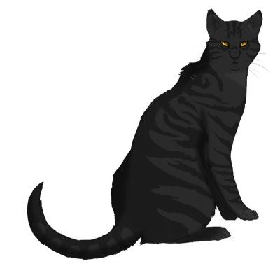 @shadowclawRP: Looking for a clan...

Name: Shadowclaw
Gender:Male
Age:12 Moons
Mate:none yet
Rank:Warrior
Kits:not yet
Active: fairly