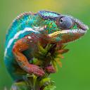 DUNCAN WALKER - @DUNCW1 - Twitter