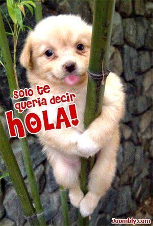 sandykeko42's profile picture. 